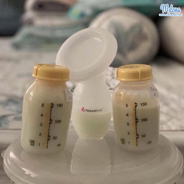 Sữa chuyển tiếp hình thành sau giai đoạn sữa non của mẹ