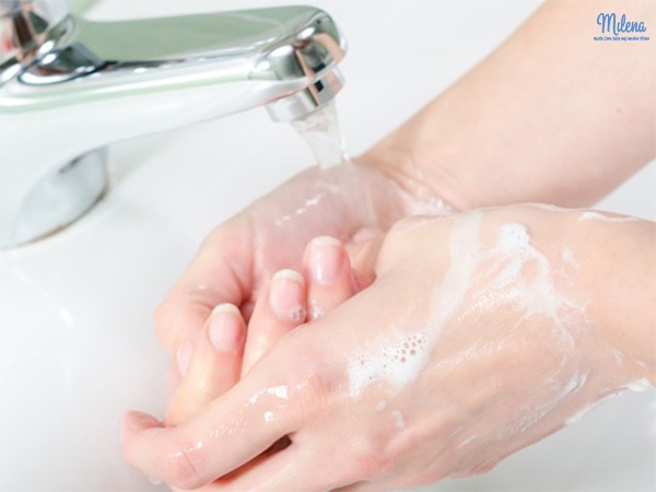 Rửa tay trước khi vắt sữa non bằng tay