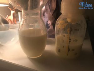 Cốc hứng sữa NatureBond - Milena -Cecilia