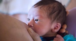 Núm ti to cho con bú mẹ - Milena - 2