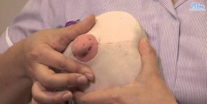 Vắt-sữa-non-bằng-tay-1